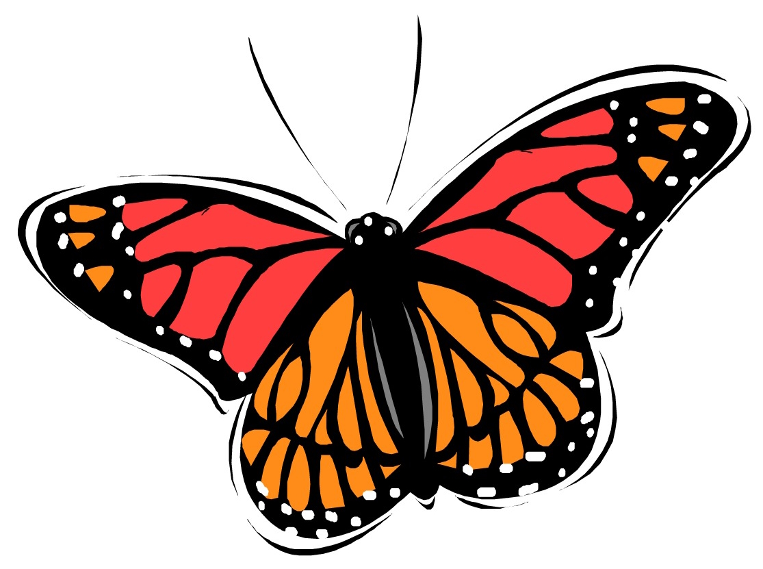 Butterfly Logo